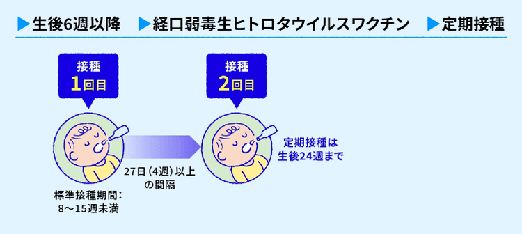 経口弱毒生ヒトロタウイルスワクチン（1価ワクチン）の一般的なスケジュール