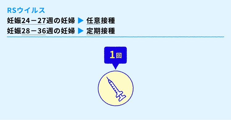 妊娠24～36週の妊婦