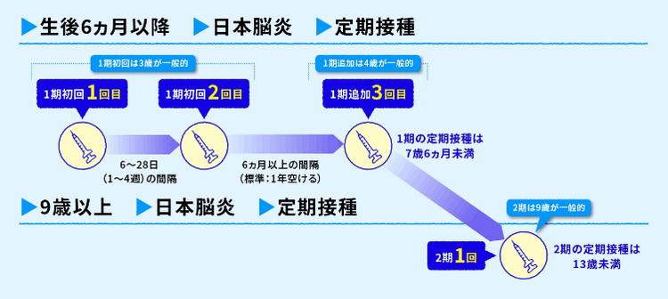 一般的なスケジュール