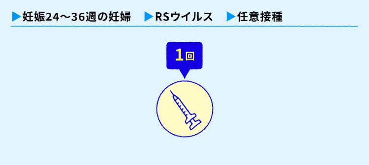 妊娠24～36週の妊婦