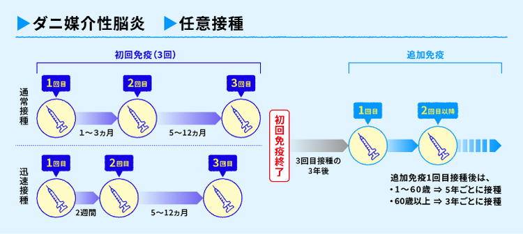 一般的なスケジュール