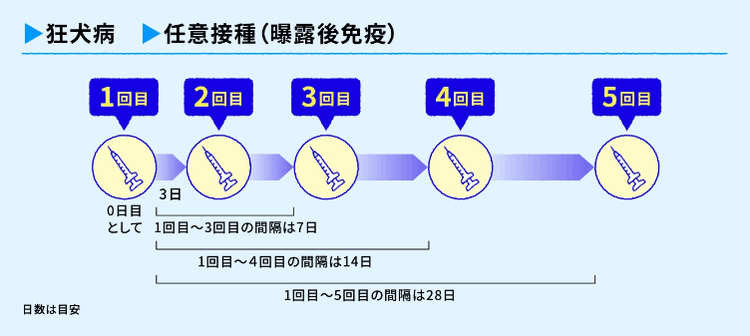 5回接種