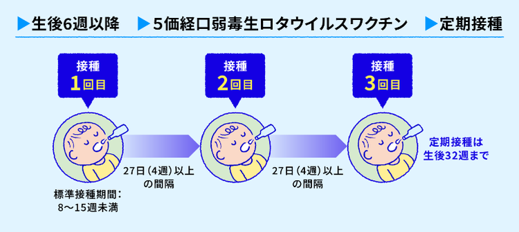 5価経口弱毒生ロタウイルスワクチン（5価ワクチン）の一般的なスケジュール