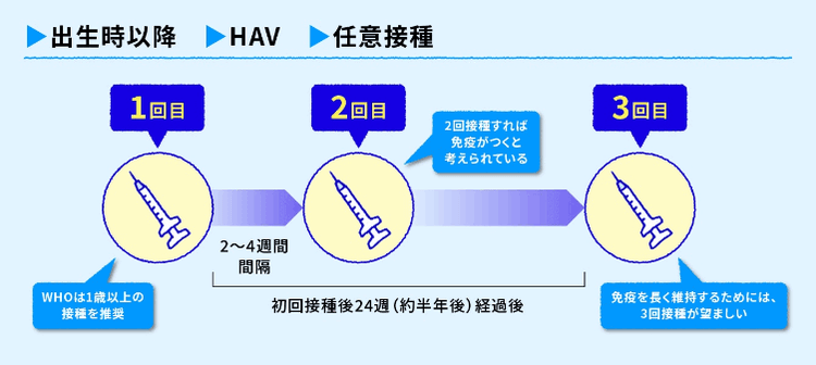 一般的な接種スケジュール