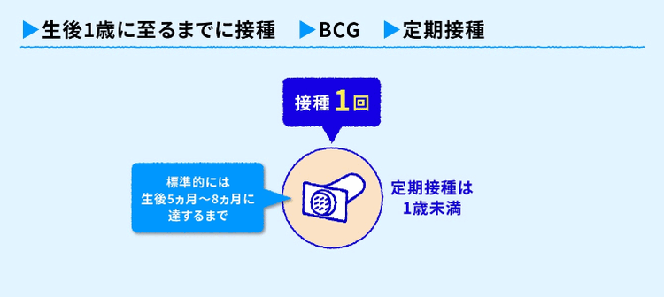 一般的な接種スケジュール