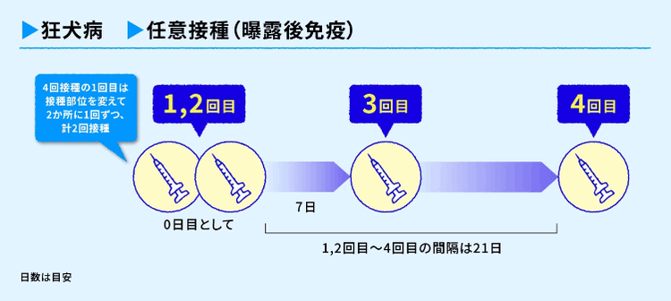 4回接種