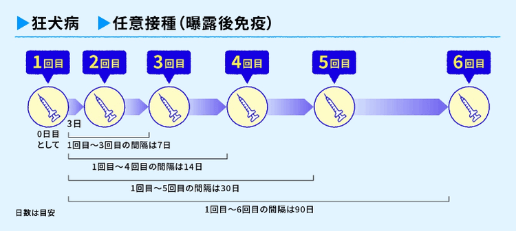 6回接種
