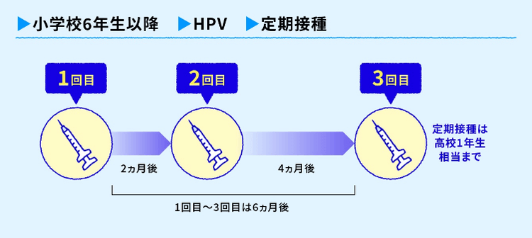 標準的な接種スケジュール