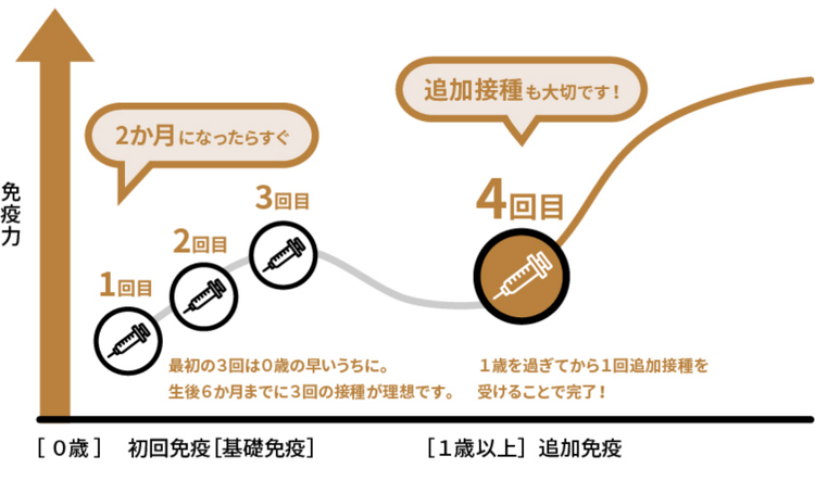 どうして４回目の追加接種が必要なの？