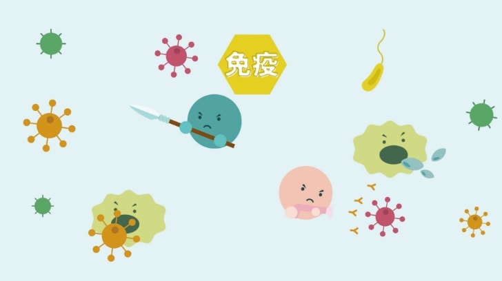 No.2　細菌やウイルスから体を守る仕組み