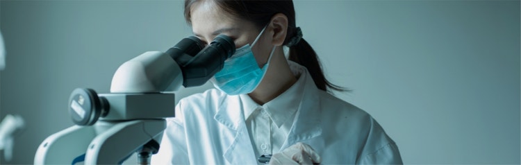 ファイザーについて