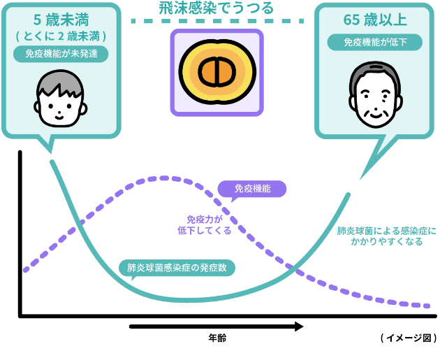 飛沫感染でうつる　65歳以上免疫機能が低下　肺炎球菌による感染症にかかりやすくなる