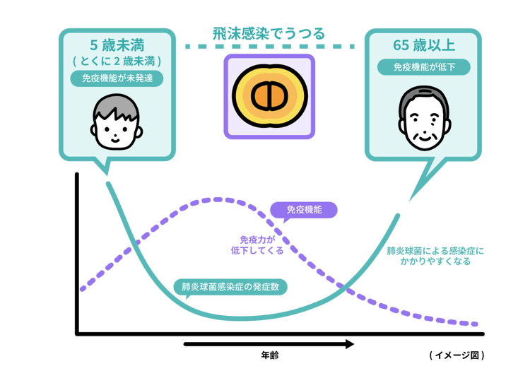 飛沫感染でうつる　65歳以上免疫機能が低下　肺炎球菌による感染症にかかりやすくなる