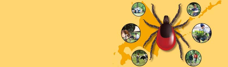 マダニに注意！