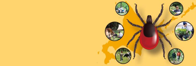 マダニに注意！ | ダニ媒介性脳炎を学ぶ | ファイザー