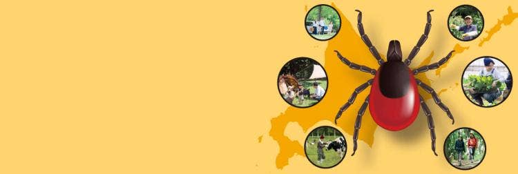 マダニに注意！